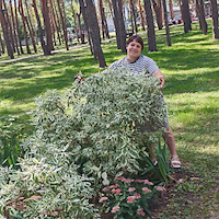 Елена Владимировна Х.